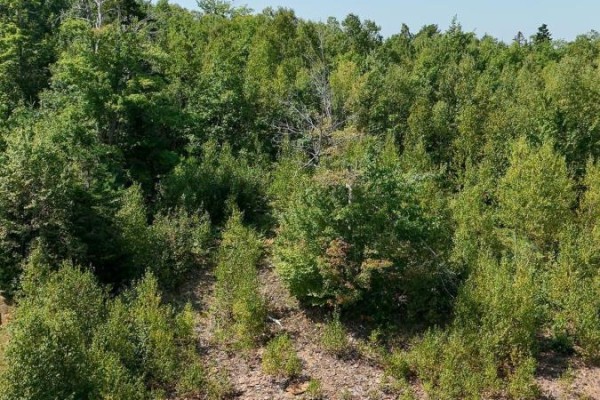 Lot 44 Mallard Avenue, Canaan, NS B4N0A3 Photo 3
