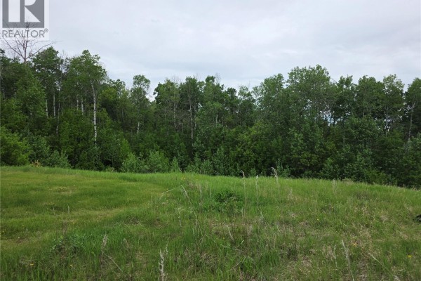 Lot 46 Kepula Lane, Calder Rm No  241, SK S0A4S0 Photo 5