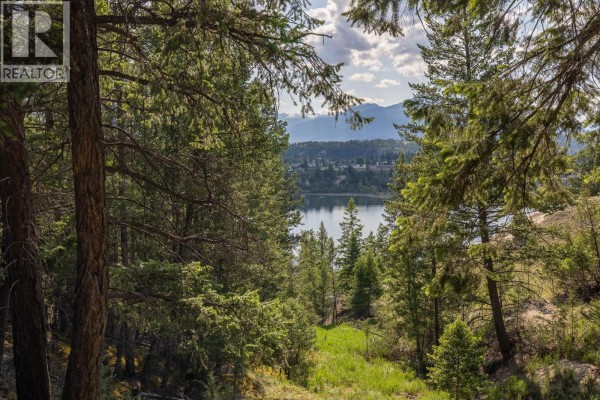 Lot 46 Upper Lakeview Road, Invermere, BC, photo 3