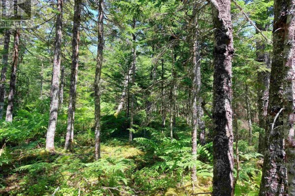 Lot 47e Widow Point Loop, West Bay Marshes, NS B0E3K0 Photo 5