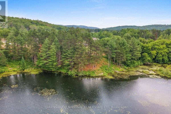 Aerial view of a calm lake surrounded by dense green pine trees and vegetation. - Lot 48 Lakeview Parkway, Madawaska Valley