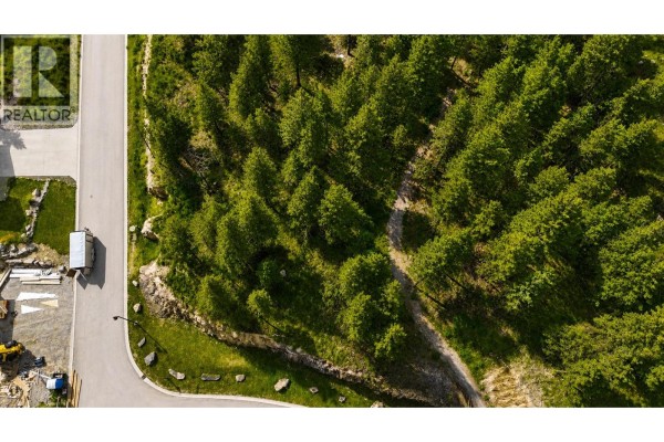 Lot 48 Pine Ridge Mountain Lane, Invermere, BC, photo 3