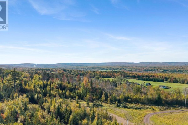 Lot 490 Tanner Hill Road, Greenhill, NS B0K2A0 Photo 4