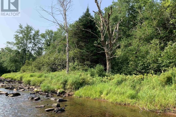Lot 4b Hunter Road, Wentworth Valley, NS B0M1Z0 Photo 5
