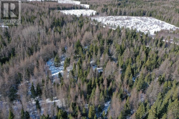 Lot 4e Whycocomagh-port Hood Road, Southwest Mabou, NS B0E1X0 Photo 4