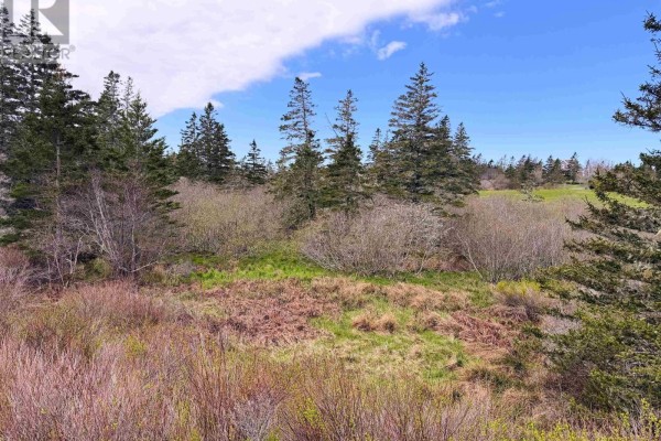 Lot 5, Lakeside Road, Dayton, NS B5A5K3 Photo 2