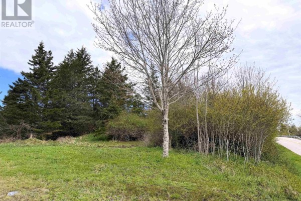 Lot 5, Lakeside Road, Dayton, NS B5A5K3 Photo 4