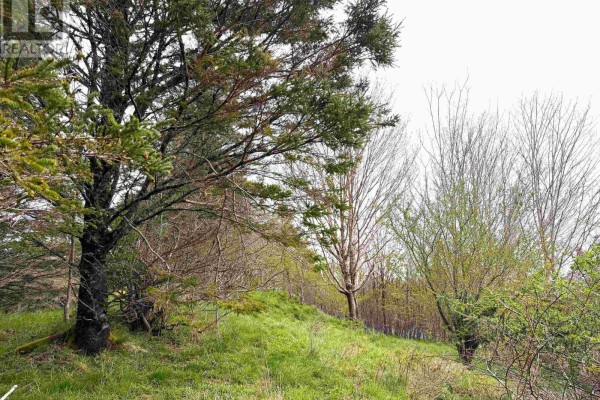 Lot 5, Lakeside Road, Dayton, NS B5A5K3 Photo 5