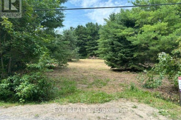 Lot 5 & 6 Rp 18 Noonan Road, Alnwick/haldimand, ON, photo 3