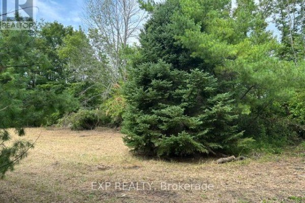 Lot 5 & 6 Rp 18 Noonan Road, Alnwick/haldimand, ON K0K3K0 Photo 4