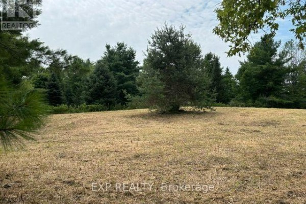 Lot 5 & 6 Rp 18 Noonan Road, Alnwick/haldimand, ON K0K3K0 Photo 5
