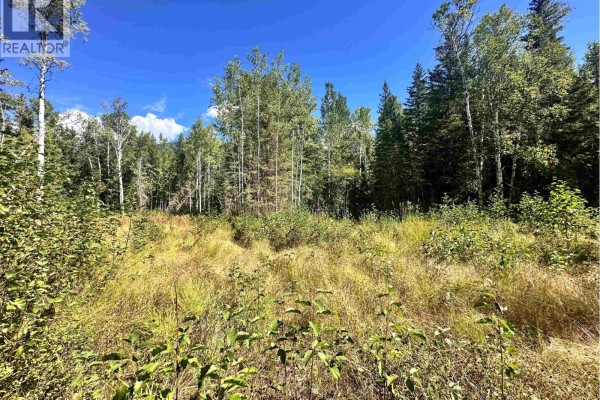 Lot 5 Airport Road, Mcbride, BC V0J2E0 Photo 4