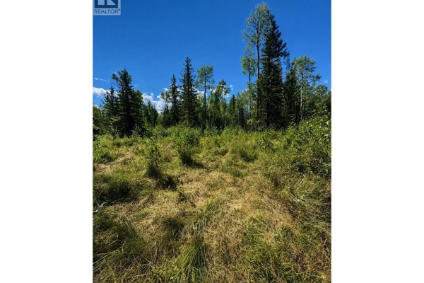 Lot 5 Airport Road, Mcbride, BC V0J2E0 Photo 5
