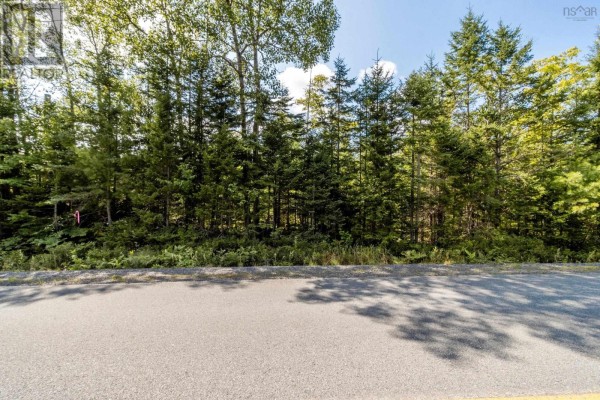 Lot 5 Aylesford Road, Morristown, NS B0P1C0 Photo 5