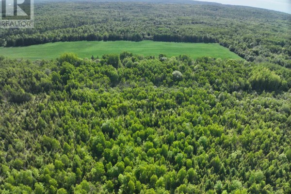 Lot 5 Baxters Harbour Road, Glenmont, NS B0P1H0 Photo 4