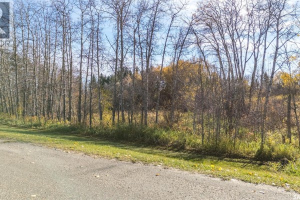 Lot 5 Cusator Road, Duck Lake Rm No  463, SK S0K2S0 Photo 4