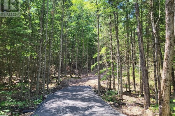 Lot 5 Fairy Falls Road, Lake Of Bays, ON, photo 2