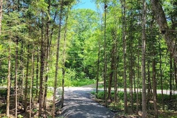Lot 5 Fairy Falls Road, Lake Of Bays, ON, photo 3