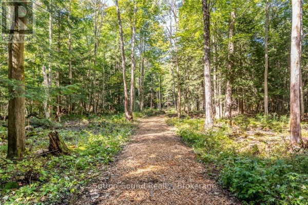 Lot 5 Final Plan 3m 268, Saugeen Shores, ON N0H2C6 Photo 5