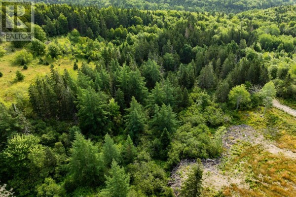 Lot 5 Highway 19, Hawleys Hill, Mabou, NS B0E1X0 Photo 2