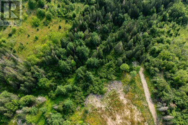 Lot 5 Highway 19, Hawleys Hill, Mabou, NS B0E1X0 Photo 3