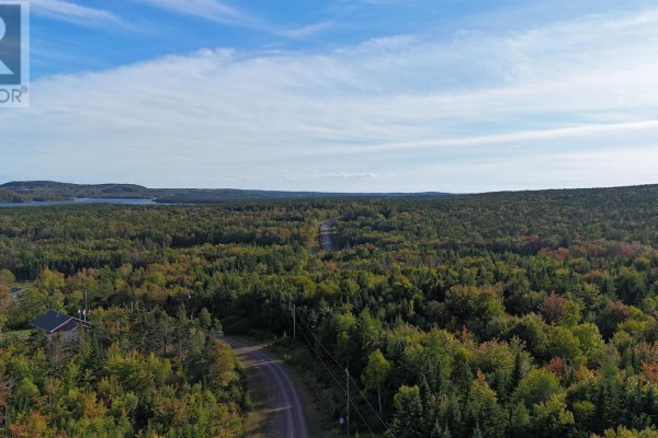 Gravel road surrounded by trees, leading into the property area. - Lot 5 Hill St, French Cove
