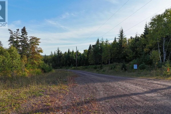Map layout of the property boundaries and surrounding area. - Lot 5 Hill St, French Cove
