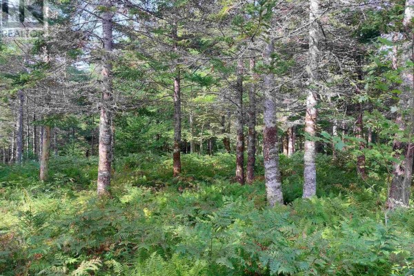 Aerial view of the property with dense trees and nearby water bodies. - Lot 5 Hill St, French Cove