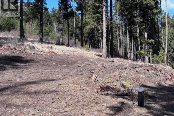 Clearing on a wooded lot with some debris and a metal post. - Lot 5 Hulme Creek Road, Rock Creek