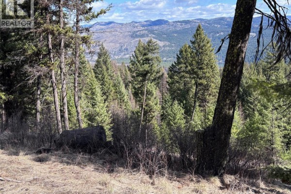 View of evergreen trees and mountainous terrain from a wooded area. - Lot 5 Hulme Creek Road, Rock Creek