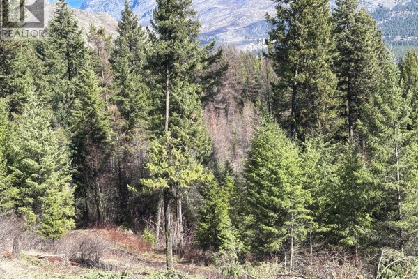 Dense forest with evergreen trees and underbrush under a partly cloudy sky. - Lot 5 Hulme Creek Road, Rock Creek