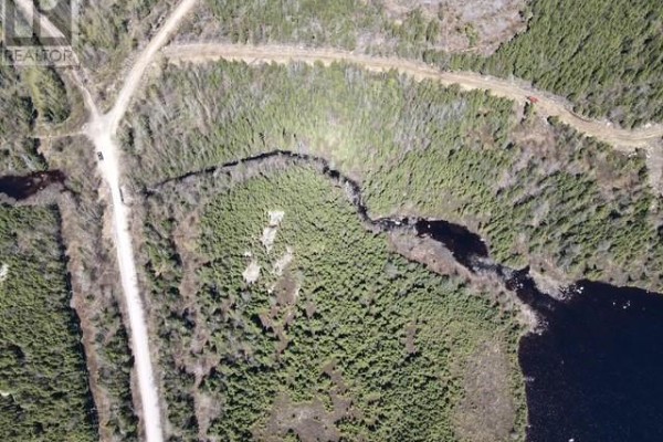 Aerial view of a large wooded property with a winding river and a dirt road. - Lot 5 Little Northwest Pond, Glovertown