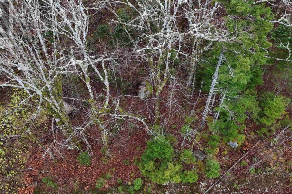 Lot 5 Nathan Croft Road, Camperdown, NS B4V6T9 Photo 3