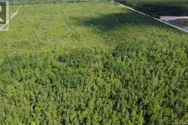 Lot 5 O'keefe, Miramichi, NB E1V6J3 Photo 5
