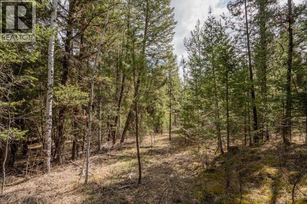 View of Lot 5 Park Place showcasing mixed evergreen and deciduous trees with a sloped, dry, grassy ground. - Lot 5 Park Place, Lac La Hache