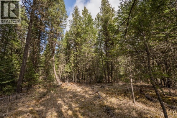 Looking through the evergreen trees on Lot 5 Park Place toward a partially cleared area. - Lot 5 Park Place, Lac La Hache