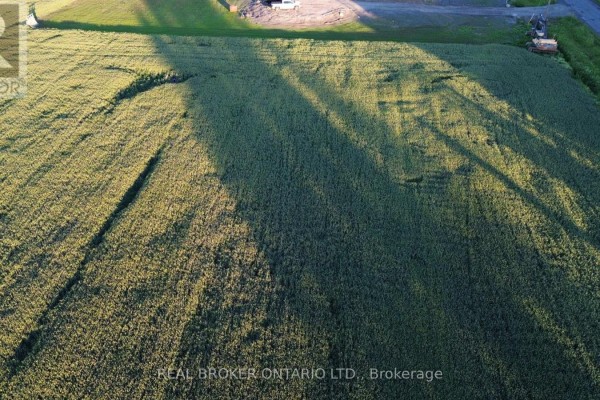 Drone shot looking down at a large field of green crops, with shadows cast from overhead. - Lot 5 Rodney Lane, North Dundas