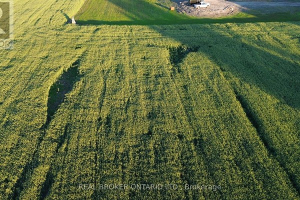 Aerial perspective of a vast green field with uneven terrain and some cleared patches. - Lot 5 Rodney Lane, North Dundas