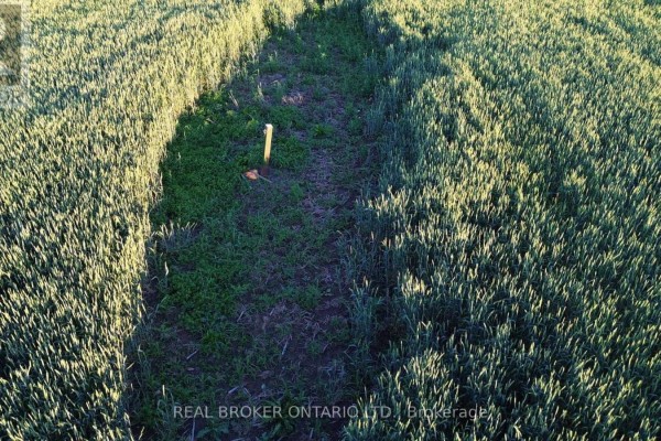 Close-up aerial view of a path through tall green crops, showing a wooden stake marker. - Lot 5 Rodney Lane, North Dundas