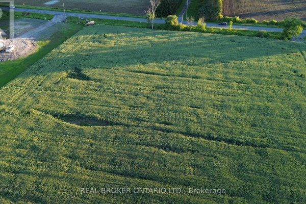Overview of a large, green crop field with a road and some construction materials visible in the distance. - Lot 5 Rodney Lane, North Dundas