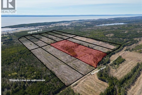 Lot 5 Route 915, Upper New Horton, NB E4H3T4 Photo 4