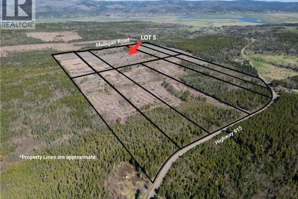 Lot 5 Route 915, Upper New Horton, NB E4H3T4 Photo 5