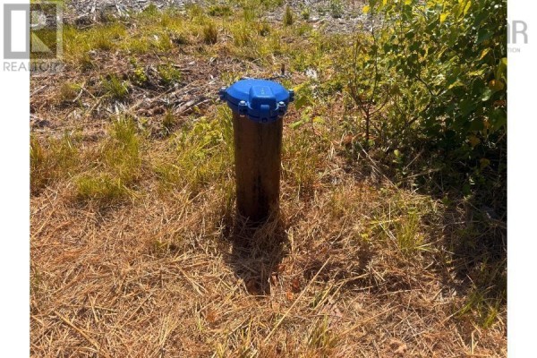 Lot 5 Sandy Mackay Road, Denmark, NS B0K1V0 Photo 2