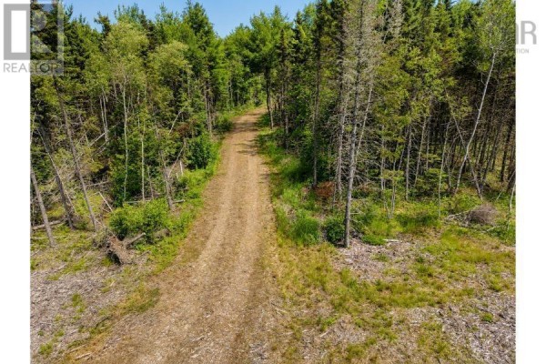 Lot 5 Sandy Mackay Road, Denmark, NS B0K1V0 Photo 5