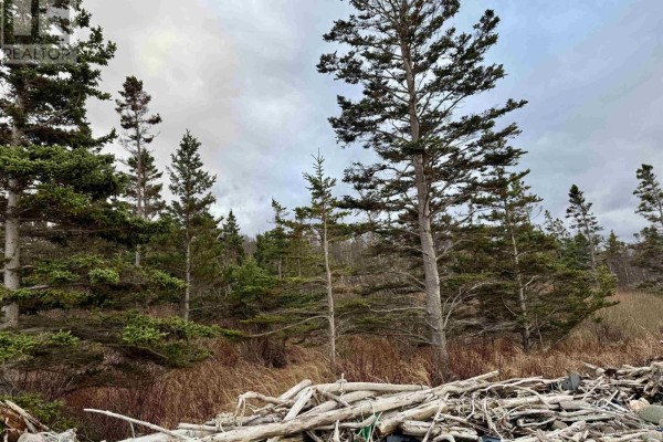 Lot 5 Sunset Avenue, Phinneys Cove, NS B0S1R0 Photo 4