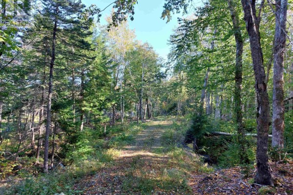 Lot 50 Redbird Dr., Malagawatch, NS B0E2Y0 Photo 2