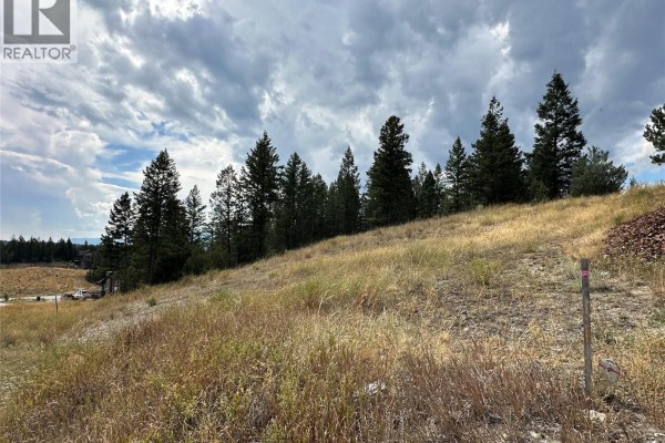 Lot 51 Cooper Road, Windermere, BC V0A1K4 Photo 4