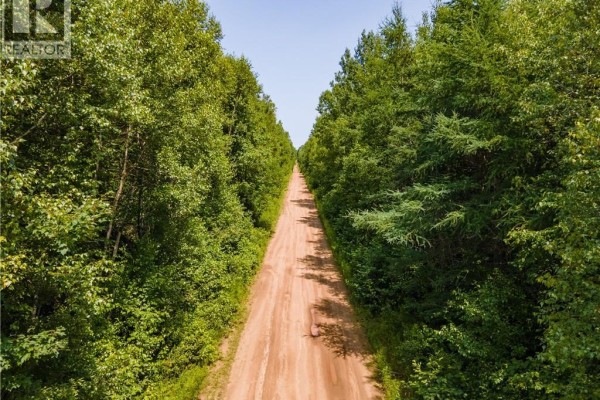 Lot 53 Alexandrina Road, Notre Dame, NB E4H2H5 Photo 5