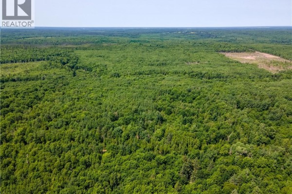 Lot 57 Alexandrina Road, Notre Dame, NB E4H2H5 Photo 5