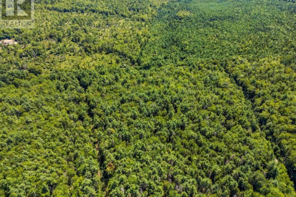 Lot 57 Little Halfway Lake Road, Kemptville, NS B0W1Y0 Photo 4